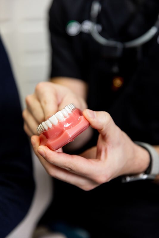 dentist holding a model of teeth